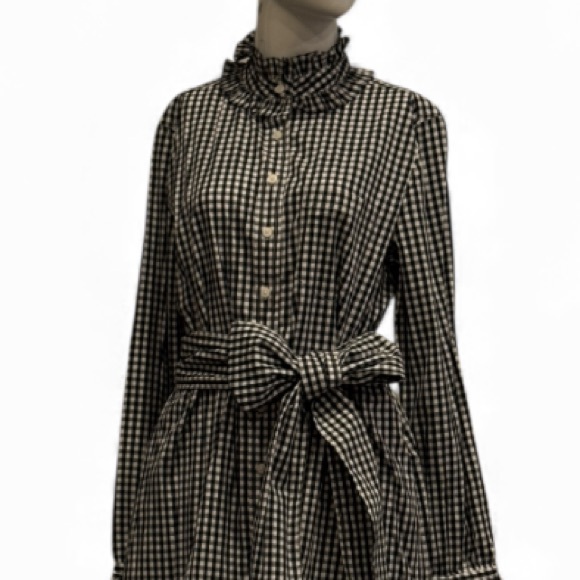 J. Crew Blue Black and White Gingham Ruffle Collar Shirtdress approx size 8 - Picture 6 of 14
